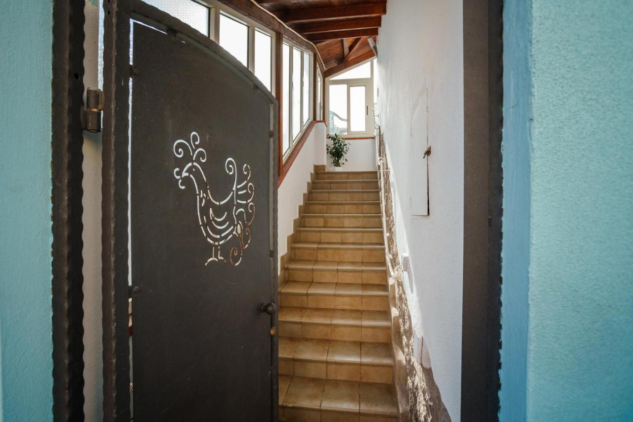 Holiday Home Alle Pavoncelle, Indipendente Con Terrazzo Di 60 Mq 斯库索港 外观 照片